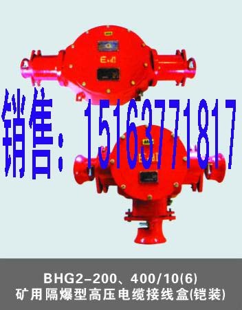 供应 BHG1矿用隔爆型高压电缆接线盒